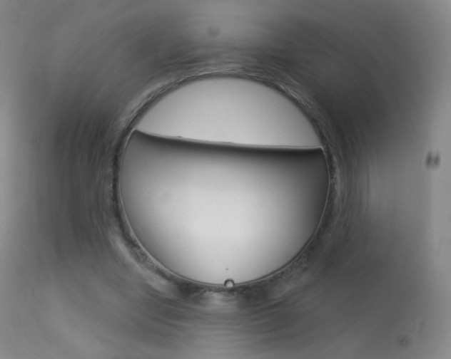 X0000113610442200909181055