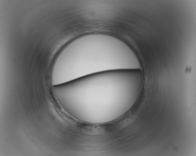 X0000113610443200909181055