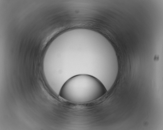 X0000113610444200909181055