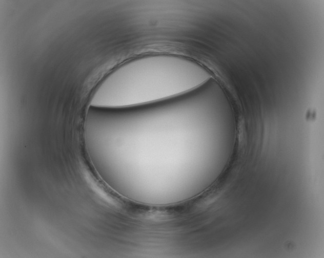 X0000113610445200909181055