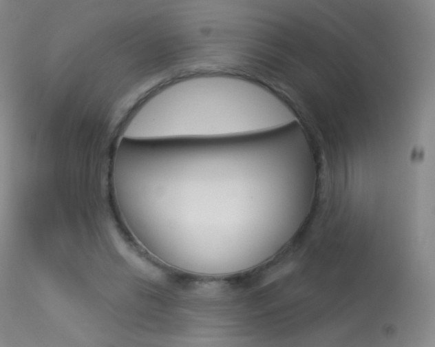 X0000113610446200909181055