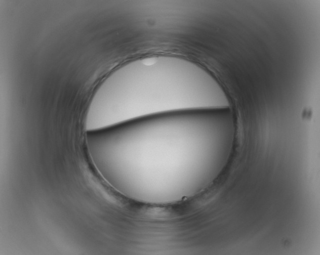 X0000113610449200909181056