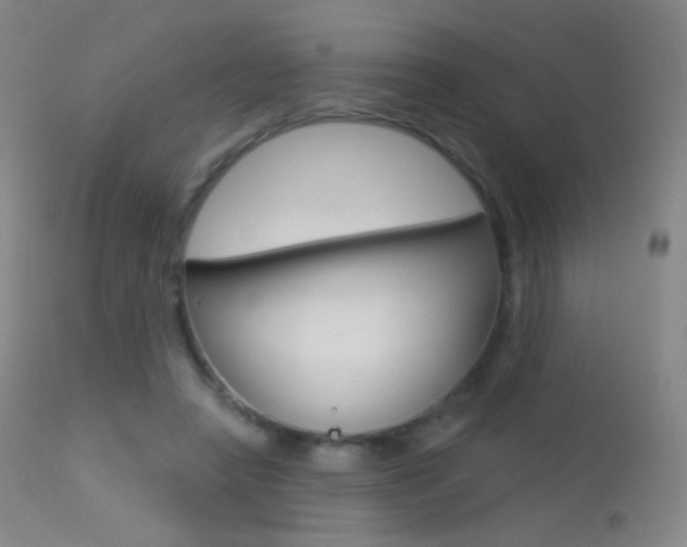 X0000113610450200909181056