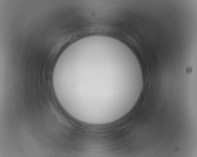 X0000113610452200909181056