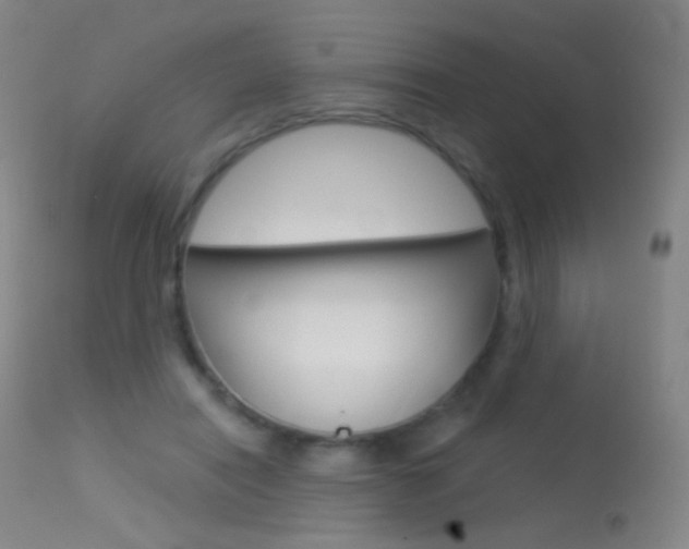 X0000113610454200909181056