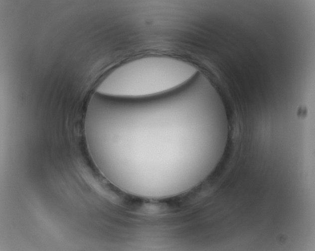 X0000113610455200909181056
