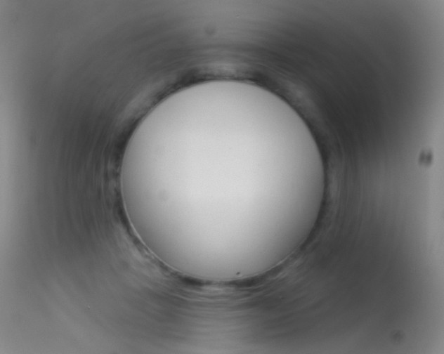 X0000113610457200909181056