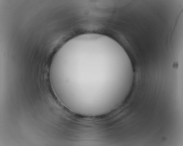 X0000113610458200909181056