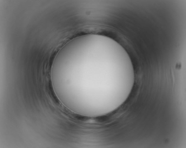 X0000113610460200909181056