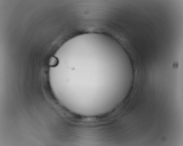 X0000113610461200909181056