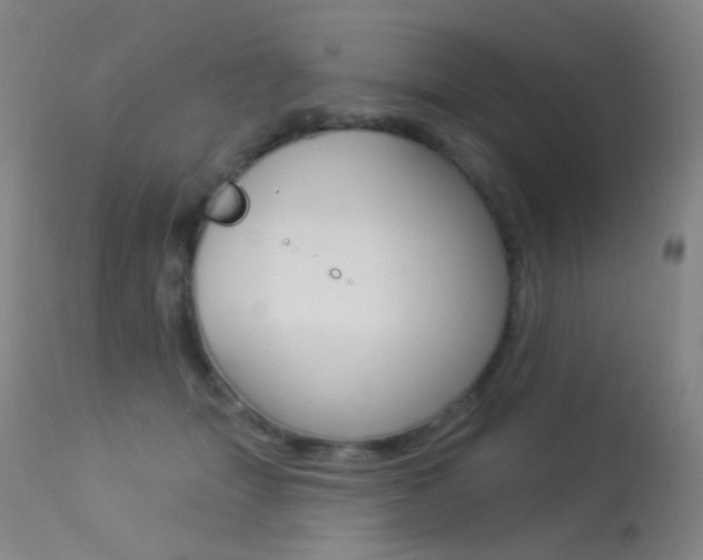X0000113610463200909181056