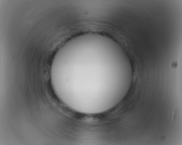 X0000113610464200909181056