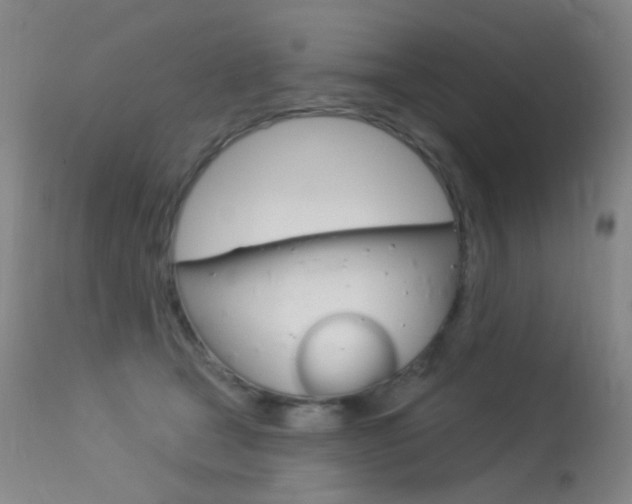 X0000113610465200909181056