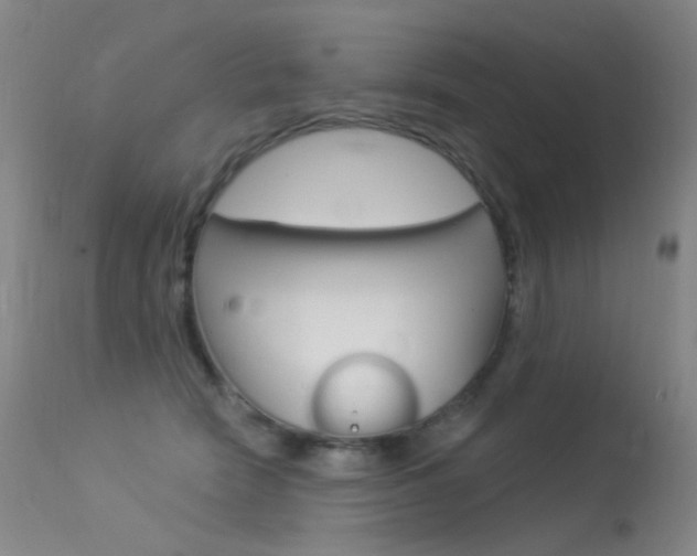 X0000113610466200909181056