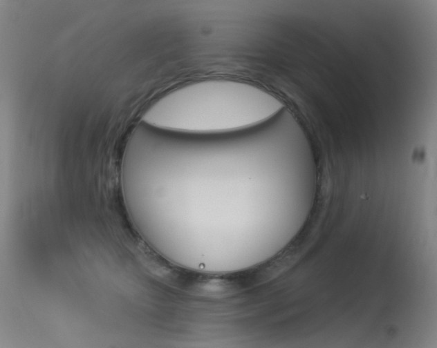 X0000113610467200909181056