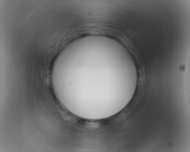 X0000113610469200909181056