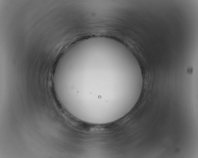 X0000113610470200909181056