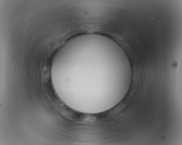 X0000113610471200909181056