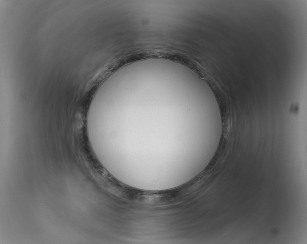 X0000113610472200909181056