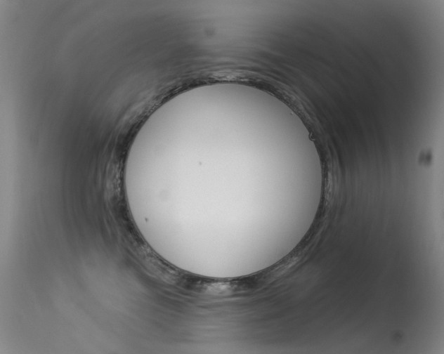 X0000113610473200909181056