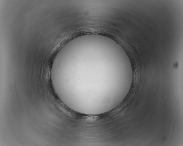 X0000113610474200909181056