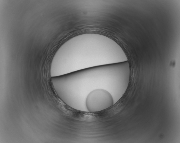X0000113610475200909181056
