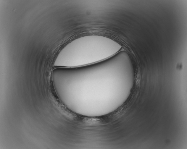 X0000113610476200909181056