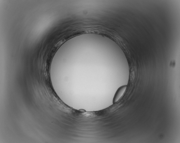 X0000113610477200909181056