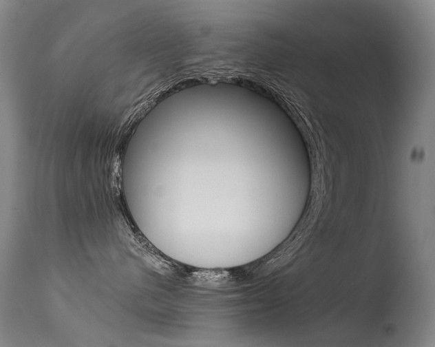 X0000113610480200909181056