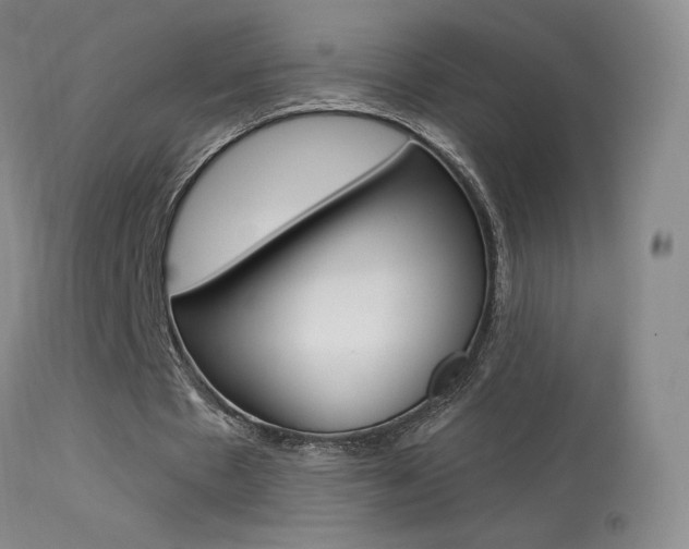 X0000113610481200909181055