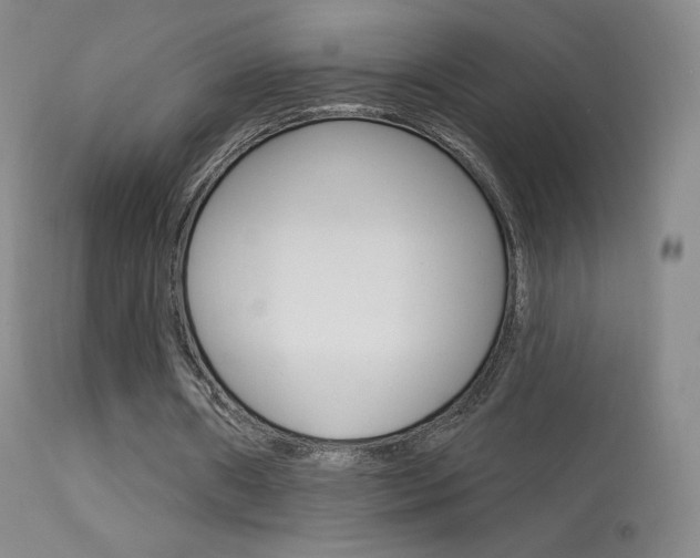 X0000113610482200909181055