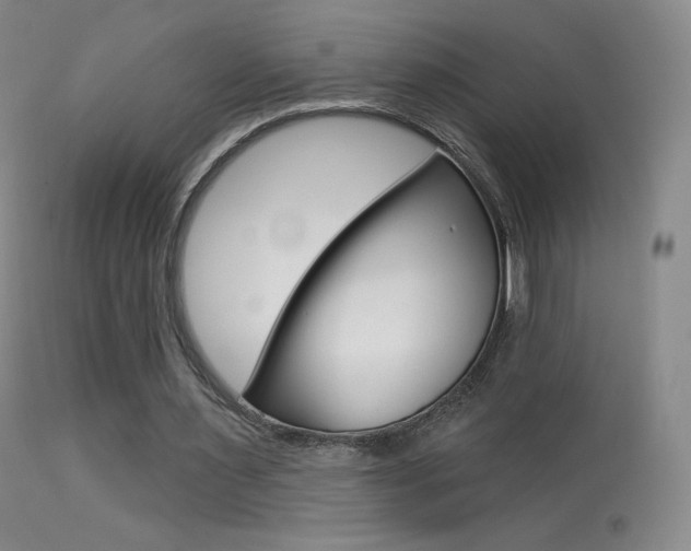 X0000113610483200909181055