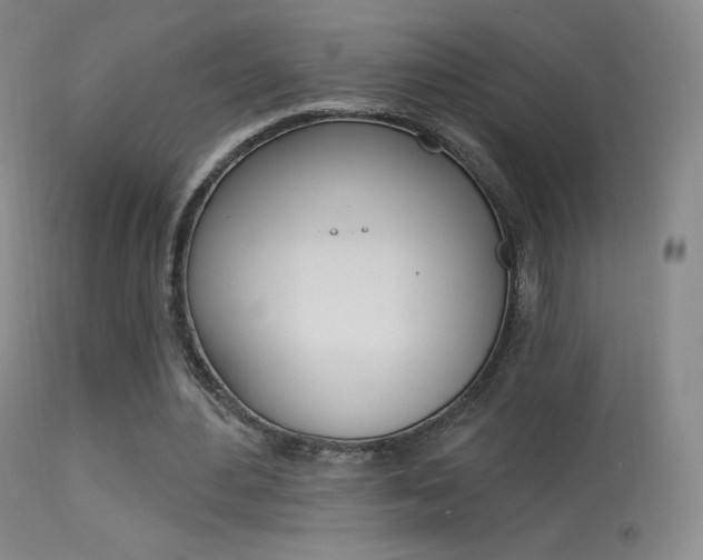 X0000113610484200909181055
