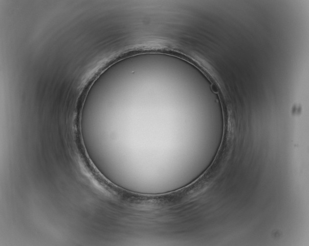 X0000113610485200909181055