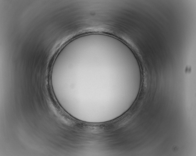X0000113610486200909181055