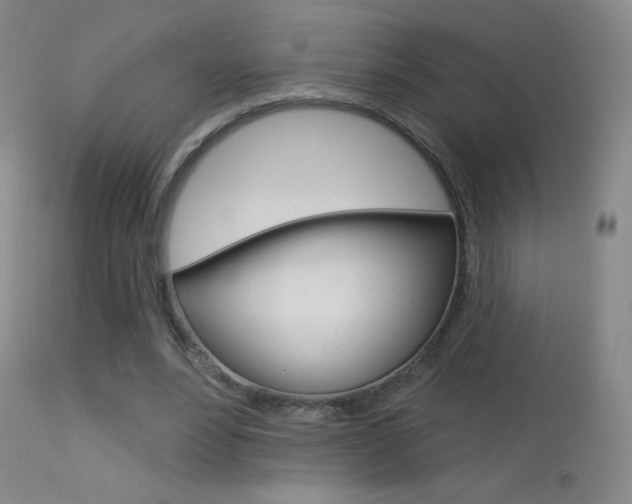 X0000113610488200909181055