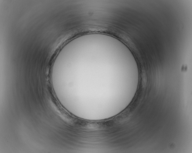 X0000113610490200909181055