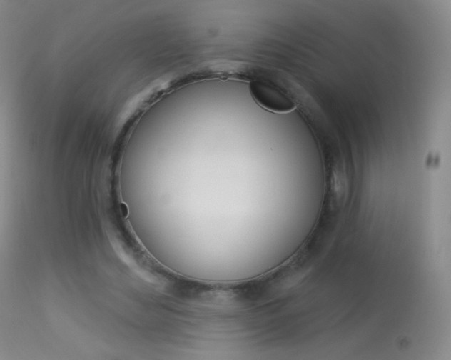 X0000113610492200909181055