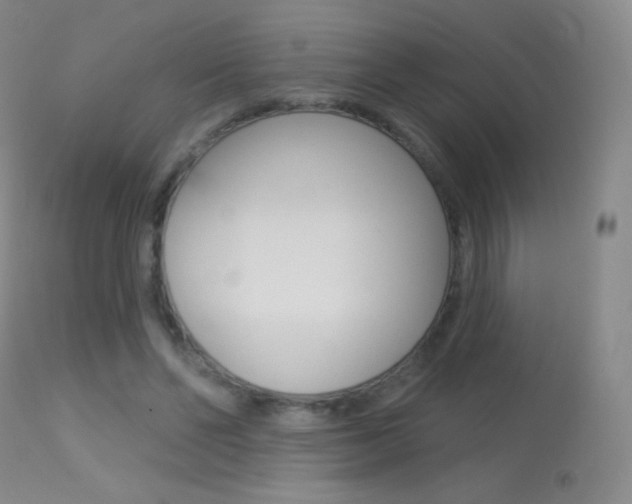 X0000113610494200909181055