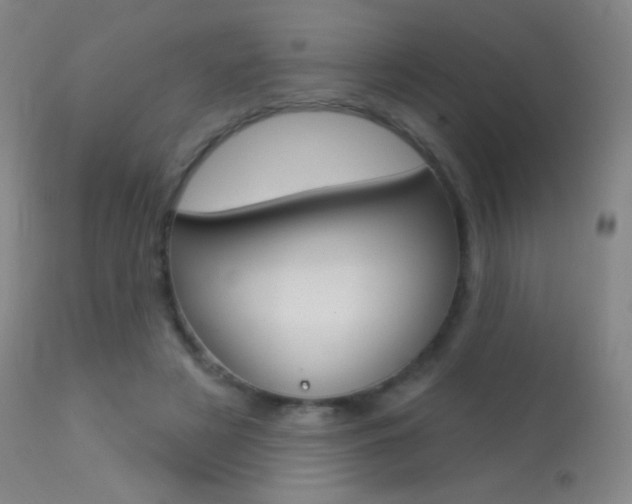 X0000113610497200909181055