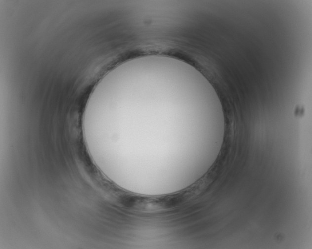X0000113610498200909181055