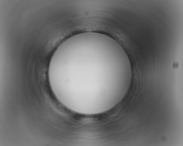 X0000113610499200909181055