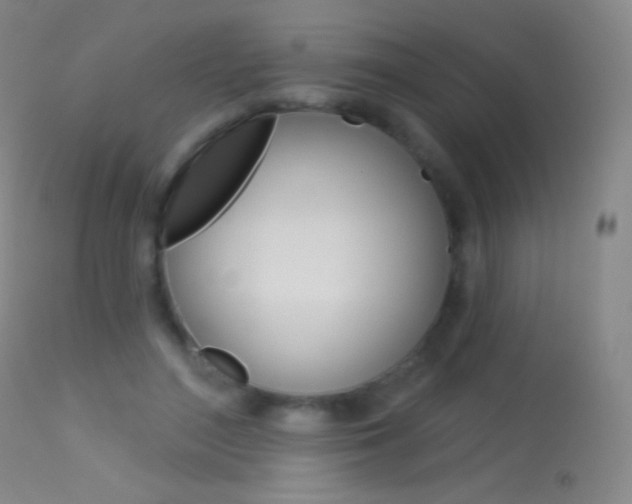 X0000113610500200909181055