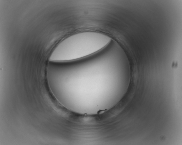 X0000113610501200909181055