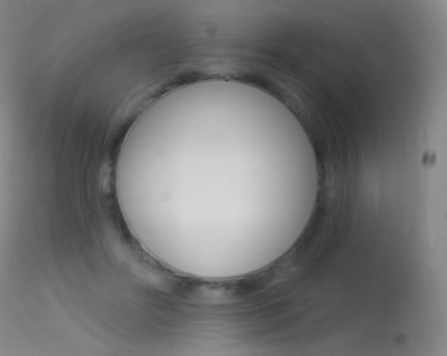 X0000113610502200909181055