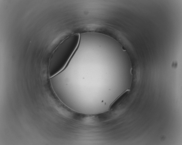 X0000113610505200909181055