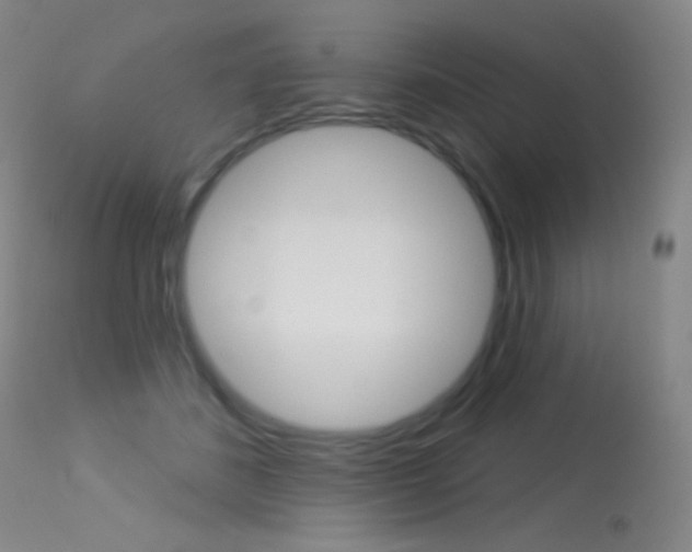 X0000113610508200909181055