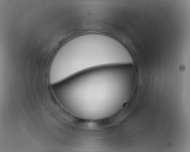 X0000113610509200909181055