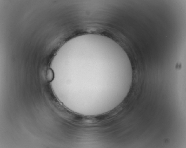 X0000113610510200909181055