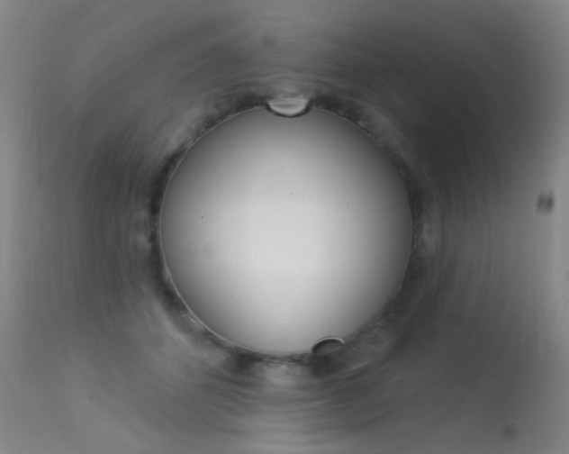 X0000113610512200909181055
